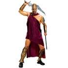   not include the spear sword and shoes 300 spartan deluxe adult costume