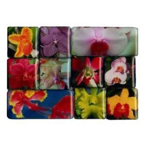  Orchids Mighty Magnets Set of 10