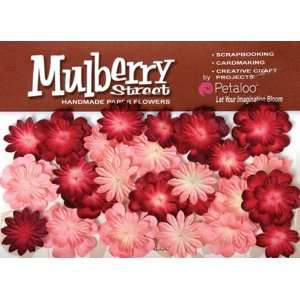 Mulberry Street Paper Mini Delphiniums Pink, Red