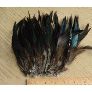  Strung Rooster Hackle Feathers Arts, Crafts & Sewing