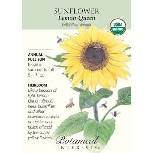   Lemon Queen Sunflower Seeds   2 grams   Organic: Patio, Lawn & Garden