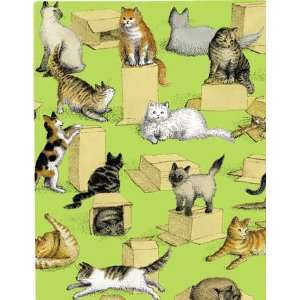  Cat in a Box Rolled Gift Wrap: Health & Personal Care