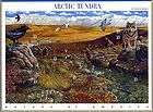 Arctic Tundra, NATURE OF AMERICA USPS $0.37 Ten Stamps, Fifth in a 