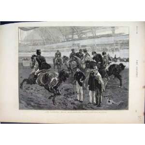  1873 Islington Horse Judging Weight Carrying Hunters