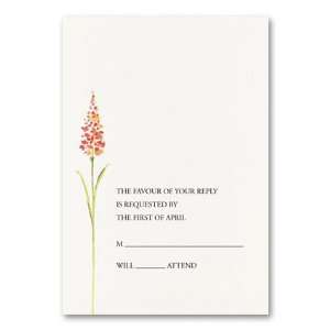  Summer Sweet Response Card by Checkerboard