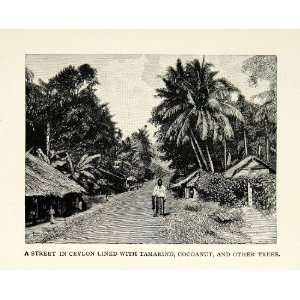 Wood Engraving Street Scene Ceylon Sri Lanka Tamarind Cocoanut Trees 
