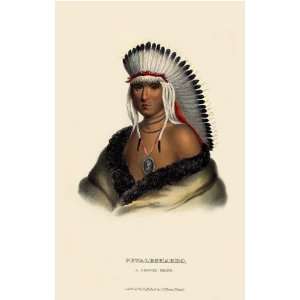  PETALESHARRO, a Pawnee Brave McKenney Hall Indian Print 
