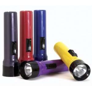   Flashlights in Assorted Colors   Case of 12