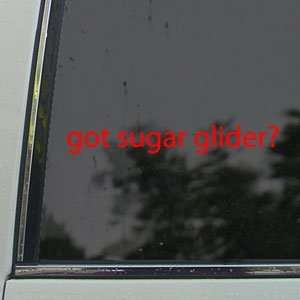  Got Sugar Glider? Red Decal Animal House Pet Car Red 