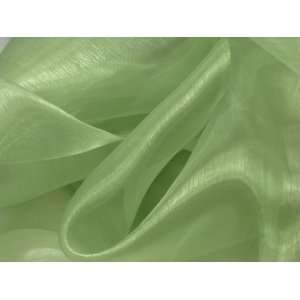  Sage Mirror Organza 100% Polyester 60 Wide Fabric By the 