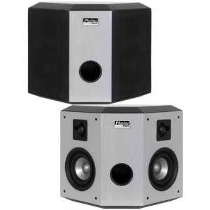  Earthquake PN 2421 Platine Noiree Dipole Speakers (pair 