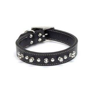  Top Dog Spiked Black Leather Dog Collar 1 x 20 inches: Pet 