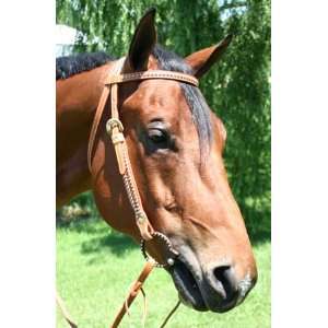  Mesquite Browband Headstall with Spots & Rawhide USA 