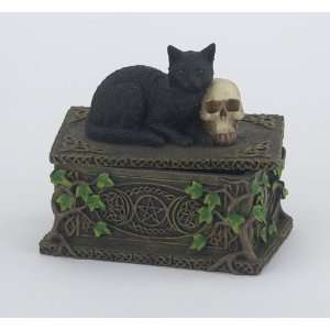  Black Cat with Skull Box
