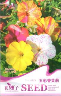 A024 Four oclock Flower Seed Pack x20 Seeds  