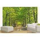 NEW Home Decor Art Wall Mural Deco Wall Romantic Walk 8Ft 4in x 12ft 