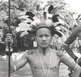 Dayak Warriors Tattoo Spear Sarawak Borneo Malaysia  