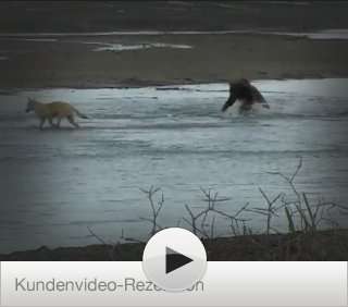 Bären, Wölfe und große Fische Reiseerzählungen aus Alaska  