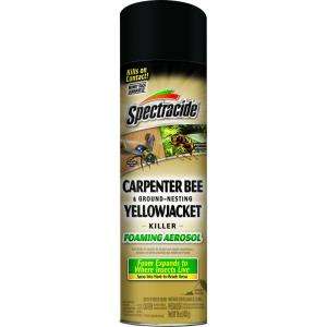 Spectracide 16 oz. Carpenter Bee and Ground Nesting Yellowjacket 
