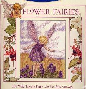 DMC Flower Fairies Counted Cross Stitch Kit BL168 Fairy 0077540130610 
