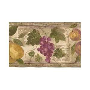  Fruits Taupe Wallpaper Border in Kitchen & Bath Resource 
