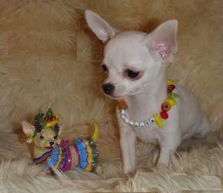 SWAROVSKI Crystal GREEN Heart DOG Chihuahua, Yorkie, MinPin Necklace 