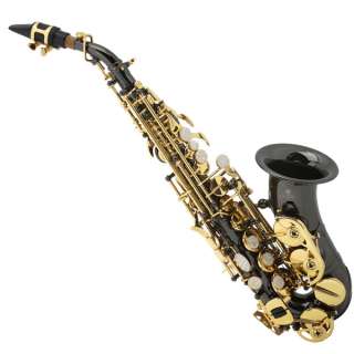 Cecilio SS 300BNG Curved Soprano Saxophone Black Nickel  
