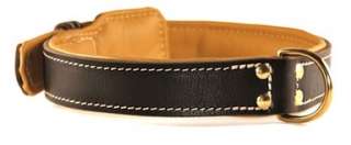 dean tyler padded leather dog collar