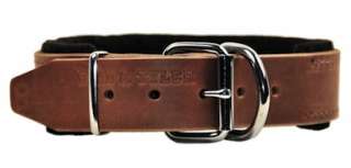 general interest dean tyler leather dog collar d t delight