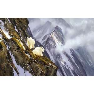 Michael Coleman   In the Cliffs   Rocky Mountain Goats Canvas Giclee