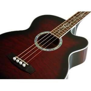  NEW MICHAEL KELLY DRAGONFLY 4 STRING ACOUSTIC ELECTRIC 