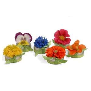   Spring Favors Bloembox Edible Flower Seed Favors Patio, Lawn & Garden