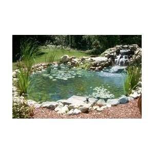  Clear Pond Complete In Ground Backyard Pond Kit   4ft. x 