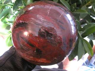19.09lb NATURAL Huge RED Petrified Wood Crystal Sphere Ball Healing 7 