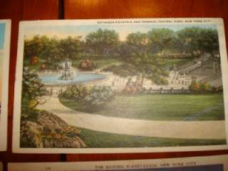 Vintage New York City Postcards Central Park Hayden  