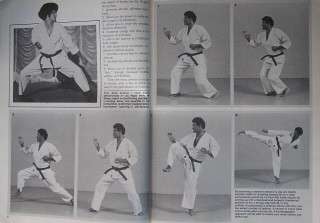 article mike stone on stances article the workable form peter morales