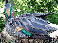 GREENWING TEAL Hand Carved (Wood) Duck Decorative Decoy  