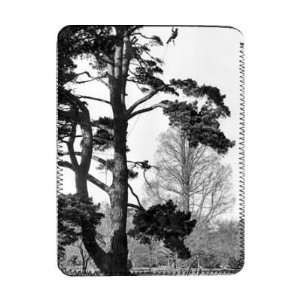  Tree Surgeon Well roped for safety   iPad Cover 